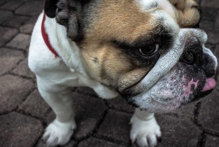 Kantor akuntan di Bandung untuk pengelolaan keuangan perusahaan