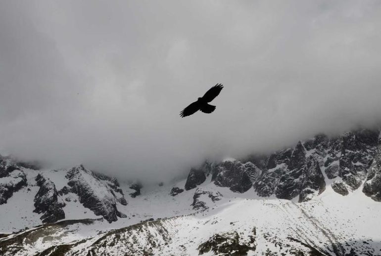 Konsultan pajak di Medan untuk kepatuhan pajak usaha kecil dan menengah