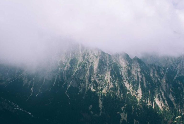 Konsultan bisnis di Makassar untuk investasi di perusahaan lokal