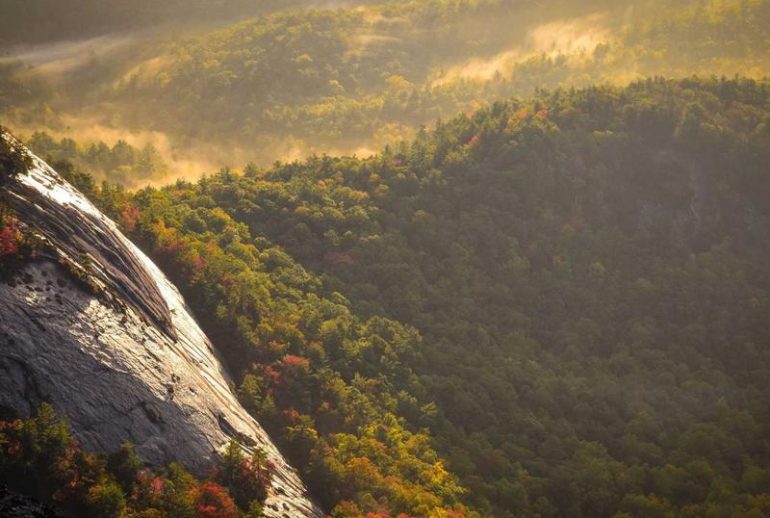 Peraturan pajak startup di Bandung untuk perusahaan teknologi dan inovasi