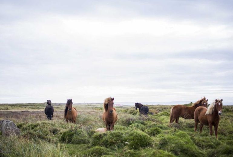 Biaya dan waktu pendirian perusahaan di Jakarta untuk investor dan pengusaha