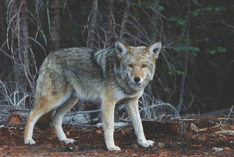 Konsultan investasi di Surabaya untuk usaha kecil dan menengah