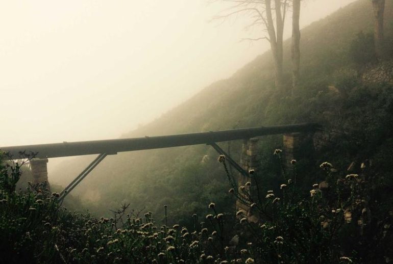 Pelaporan pajak perusahaan baru di Medan untuk kepatuhan hukum