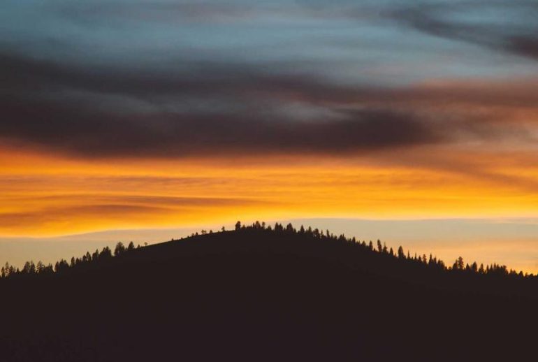 Sewa ruang komersial di Surabaya untuk usaha dan perusahaan lokal