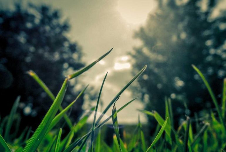 Investasi properti komersial di Surabaya di kawasan bisnis strategis